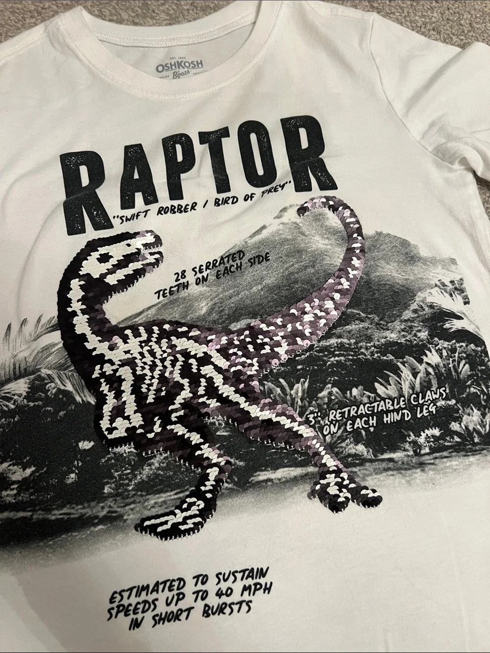 Boys green item bundle - OshKosh Raptor Flip Sequin Tee and Cat & Jack Sweater 🦖